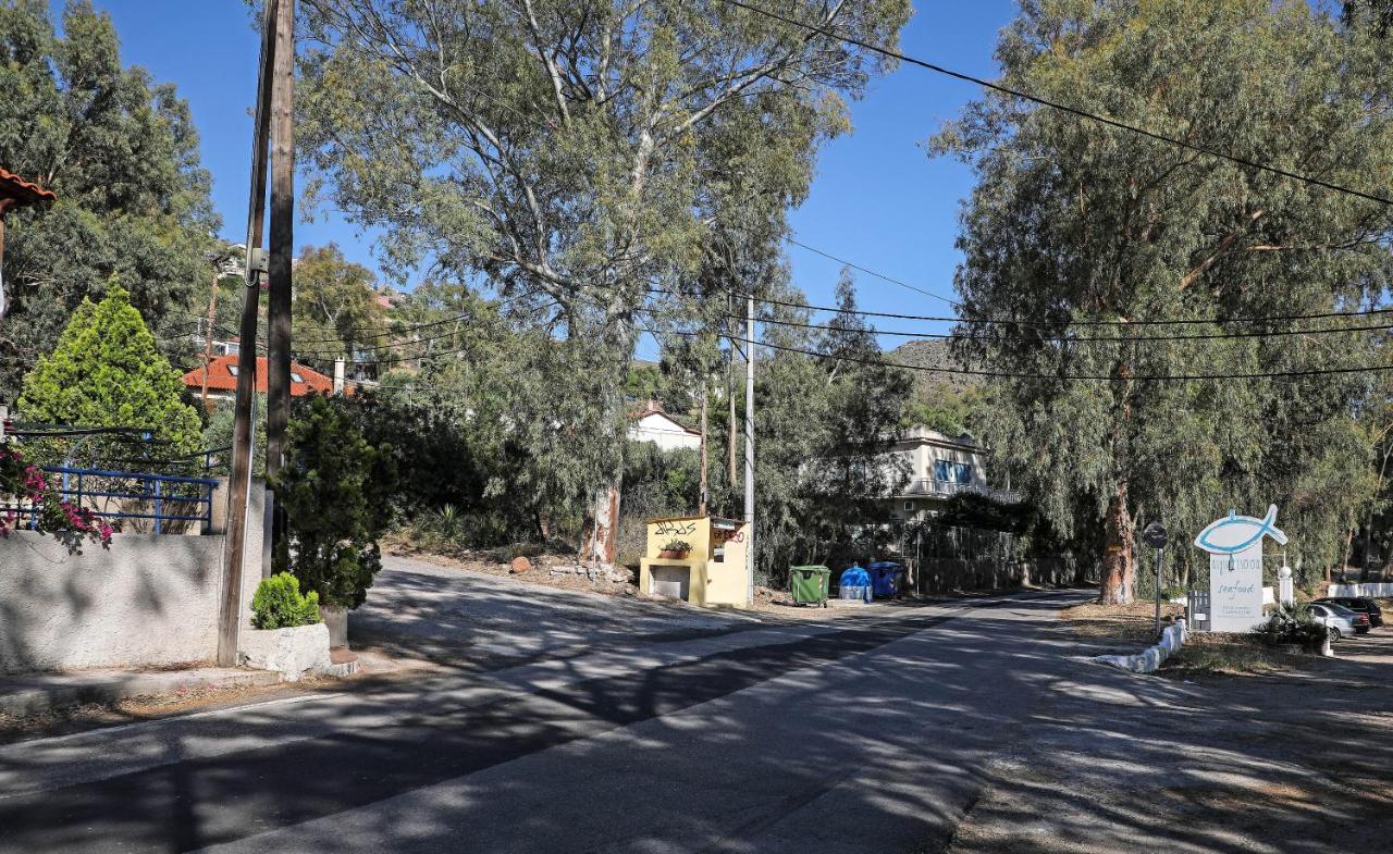 Eucalyptus Villa Aegina Buitenkant foto