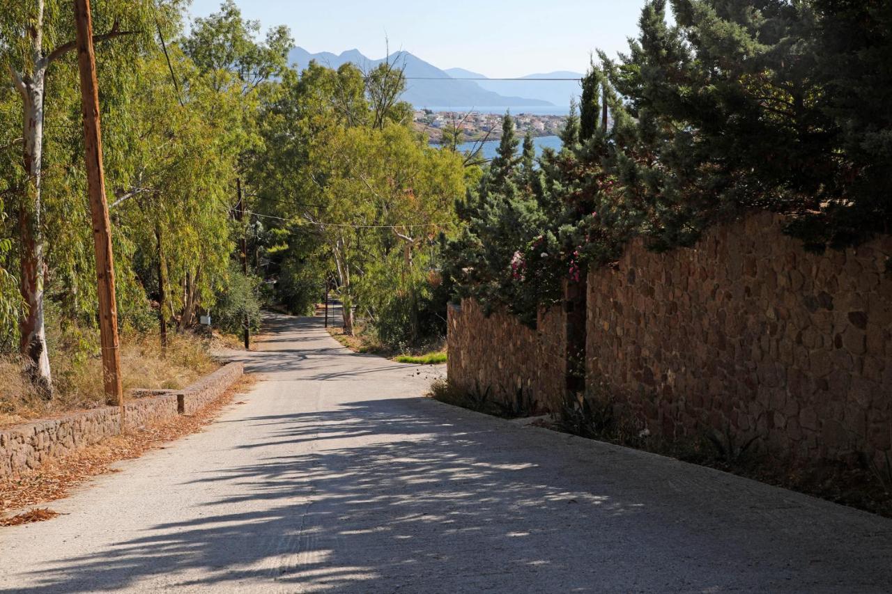 Eucalyptus Villa Aegina Buitenkant foto